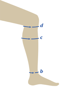 необходимо снять следующие мерки необходимо снять следующие мерки